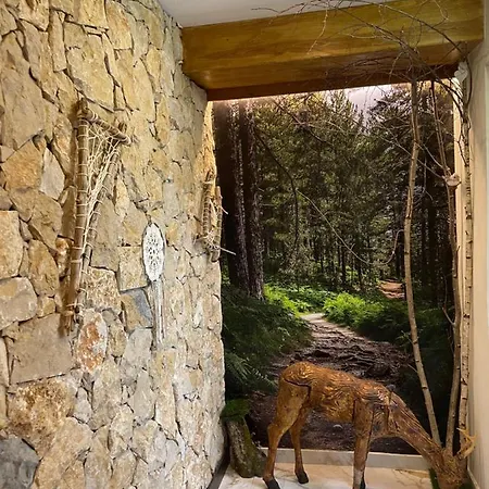 Victor Hotel Rialp